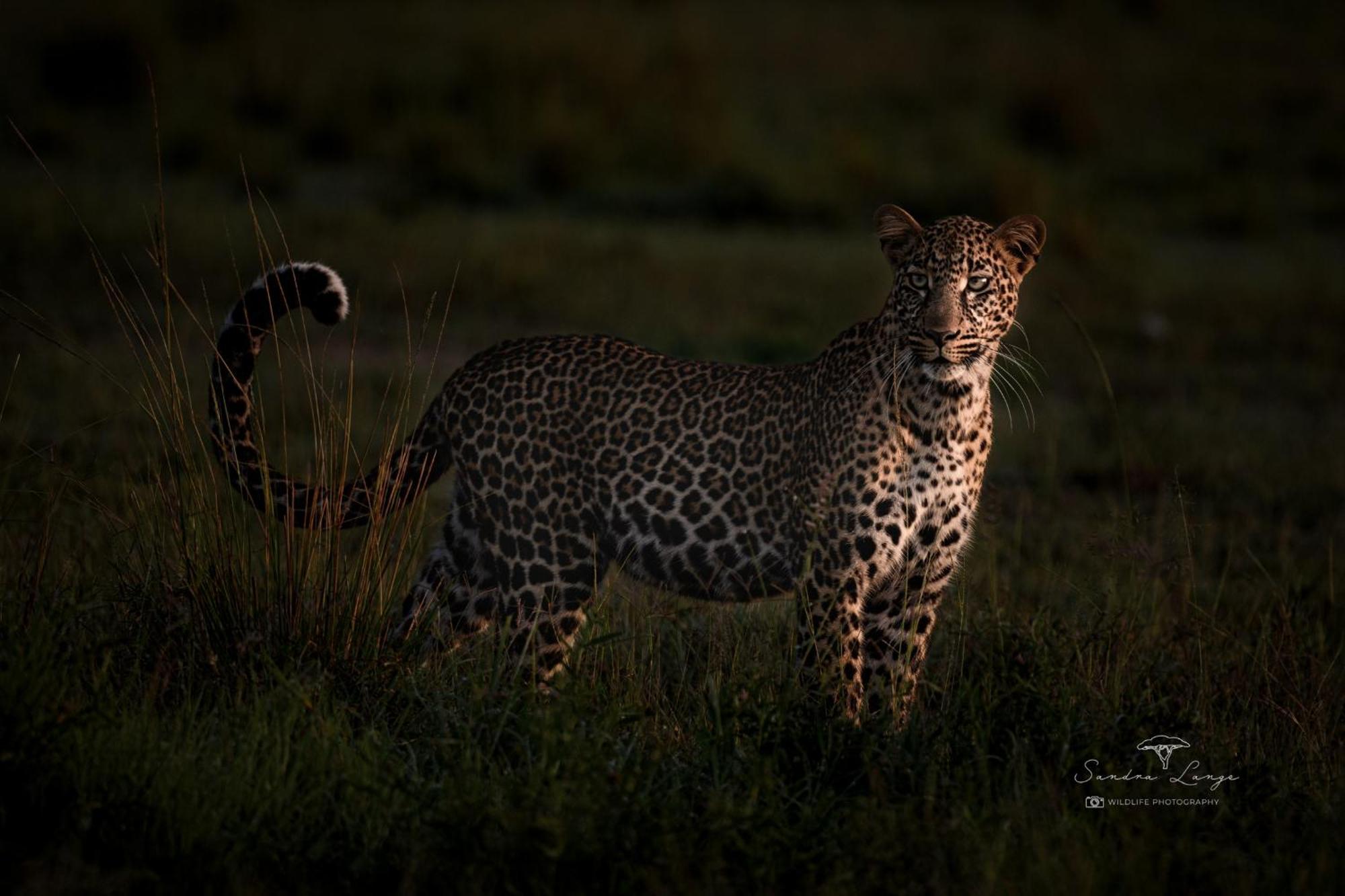 Olkinyei Mara Tented Camp Talek Exterior foto